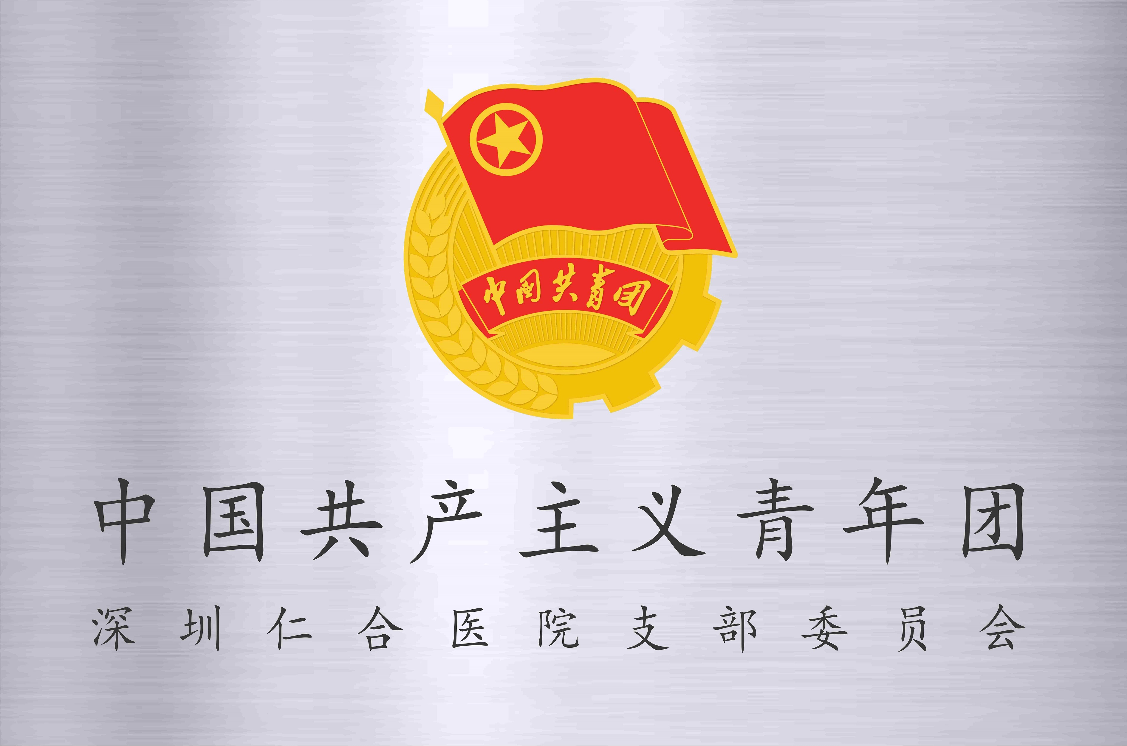 共青团