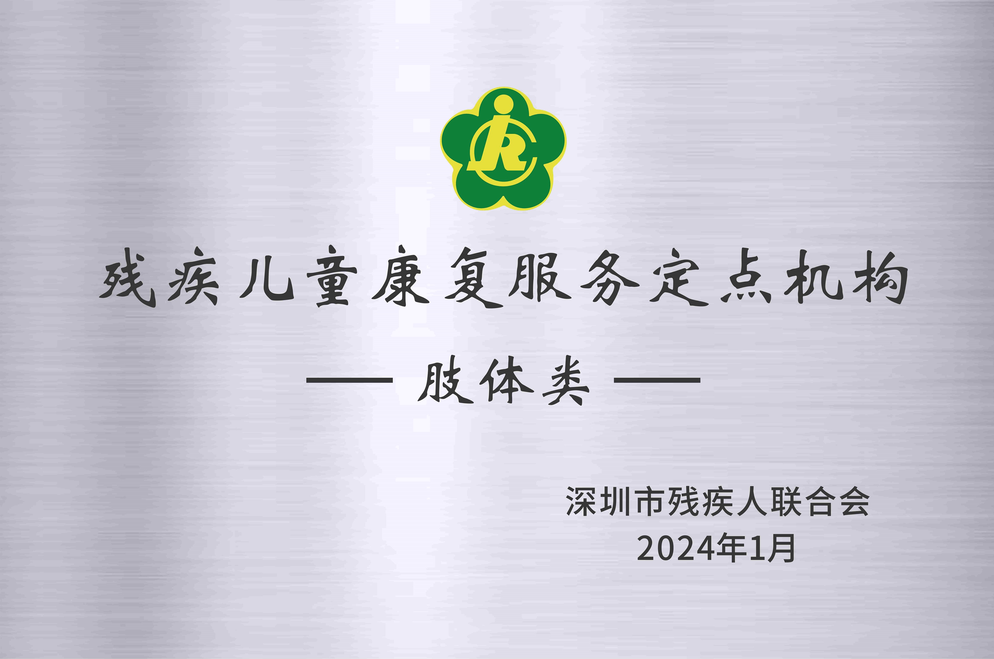 残疾儿童康复服务定点机构-肢体类